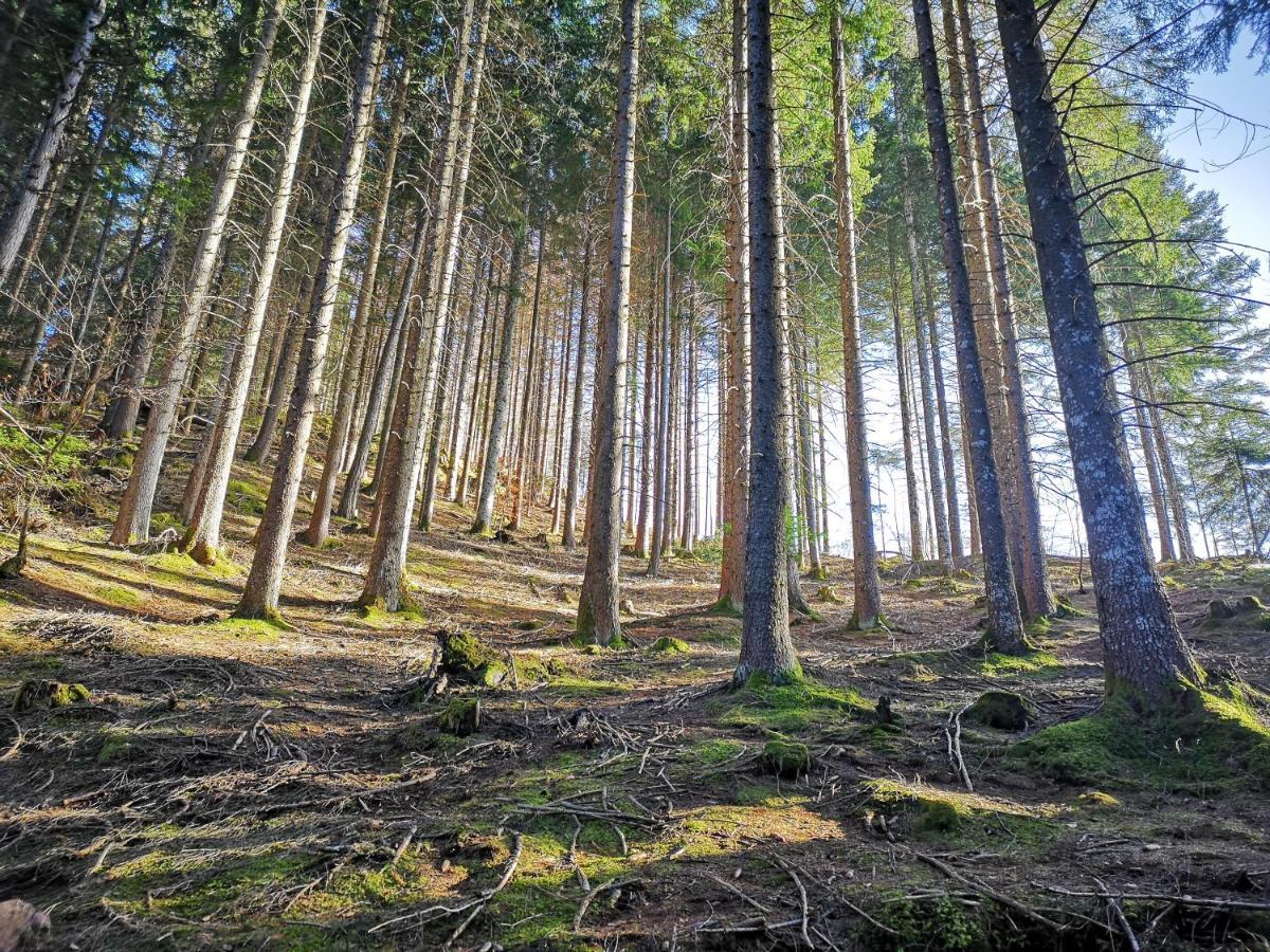 Maso Sveseri Montesover Bagian luar foto