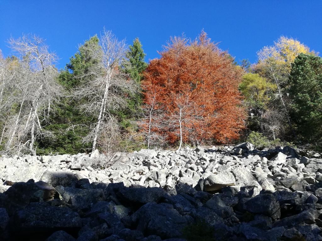 Maso Sveseri Montesover Bagian luar foto